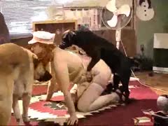 Dog-style, Fattie can't survive without it.